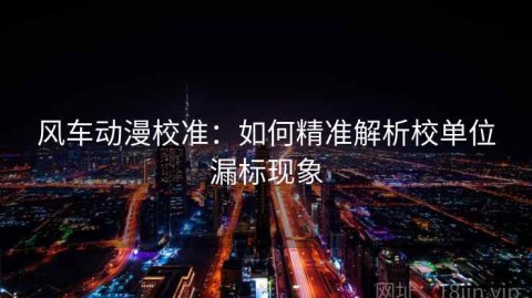 风车动漫校准：如何精准解析校单位漏标现象
