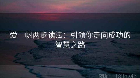 爱一帆两步读法：引领你走向成功的智慧之路
