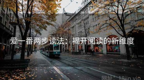 爱一番两步读法：揭开阅读的新维度