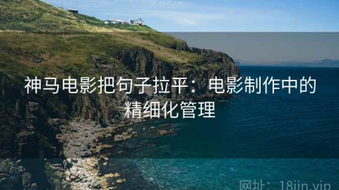 神马电影把句子拉平：电影制作中的精细化管理