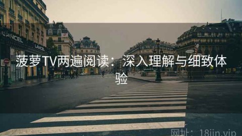 菠萝TV两遍阅读：深入理解与细致体验